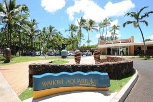 Waikiki Aquarium