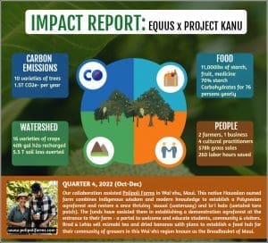 Equus Impact Report