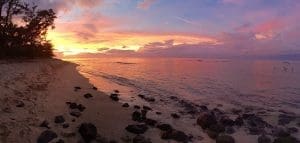 Hawaii Polo Oceanfront Trail Rides