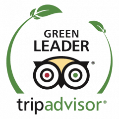 TripAdvisor Green Leader