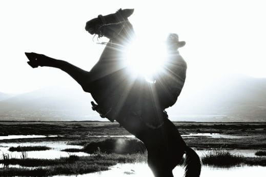 The Fire Horse — Bonus Perks