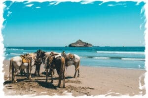 Horses on a beach